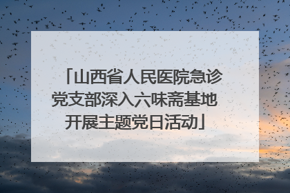 山西省人民医院急诊党支部深入六味斋基地开展主题党日活动