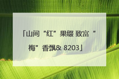 山间“红”果缀 致富“梅”香飘& 8203