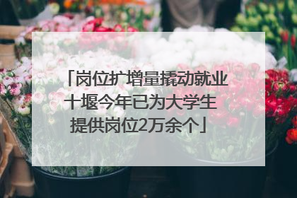 岗位扩增量撬动就业 十堰今年已为大学生提供岗位2万余个