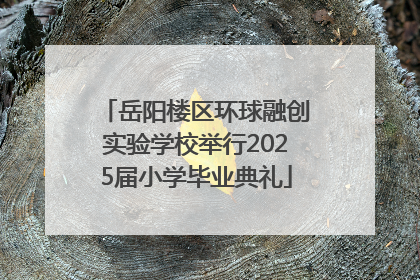 岳阳楼区环球融创实验学校举行2025届小学毕业典礼