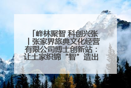 峰林聚智 科创兴张丨张家界旅典文化经营有限公司博士创新站：让土家织锦“智”造出非遗新传奇