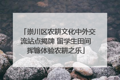 崇川区农耕文化中外交流站点揭牌 留学生田间挥镰体验农耕之乐