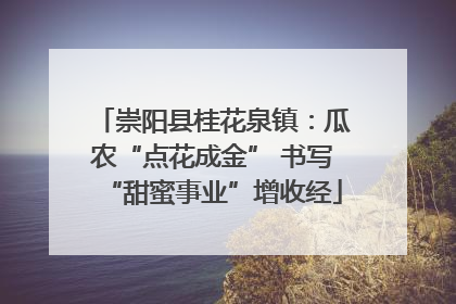 崇阳县桂花泉镇：瓜农“点花成金” 书写“甜蜜事业”增收经