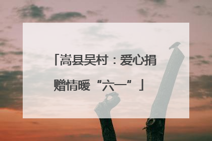 嵩县吴村：爱心捐赠情暖“六一”