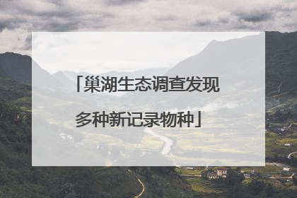 巢湖生态调查发现多种新记录物种