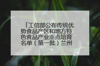工信部公布传统优势食品产区和地方特色食品产业重点培育名单（第一批）兰州牛肉拉面位列其中