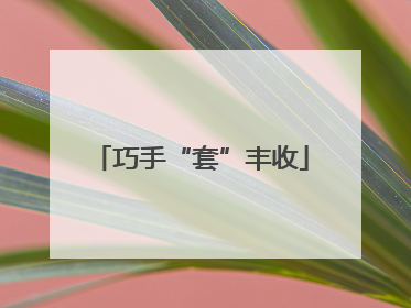 巧手“套”丰收
