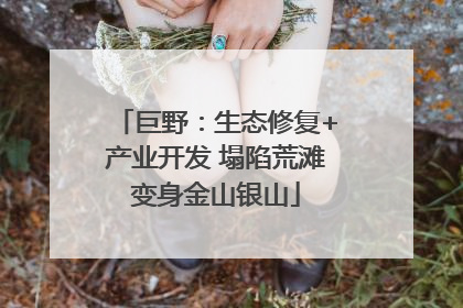巨野：生态修复+产业开发 塌陷荒滩变身金山银山
