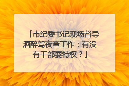 市纪委书记现场督导酒醉驾夜查工作：有没有干部耍特权？