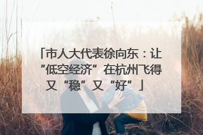 市人大代表徐向东：让“低空经济”在杭州飞得又“稳”又“好”