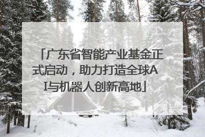 广东省智能产业基金正式启动，助力打造全球AI与机器人创新高地