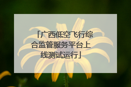 广西低空飞行综合监管服务平台上线测试运行