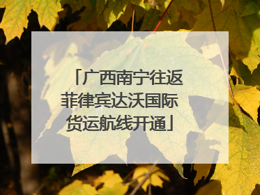 广西南宁往返菲律宾达沃国际货运航线开通