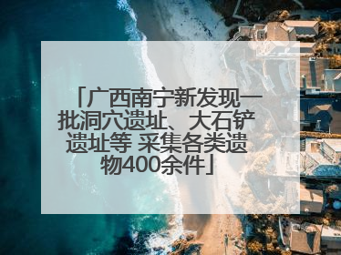 广西南宁新发现一批洞穴遗址、大石铲遗址等 采集各类遗物400余件