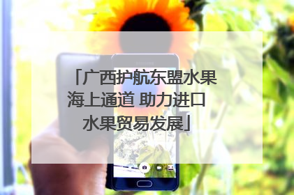广西护航东盟水果海上通道 助力进口水果贸易发展