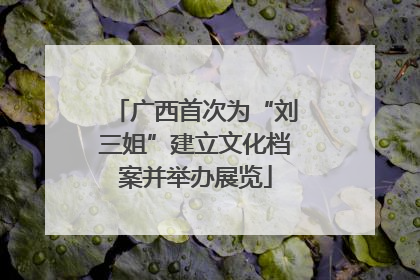 广西首次为“刘三姐”建立文化档案并举办展览