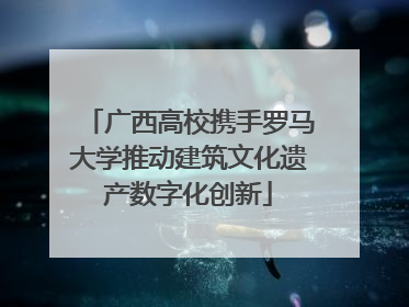 广西高校携手罗马大学推动建筑文化遗产数字化创新