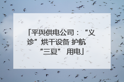 平舆供电公司：“义诊”烘干设备 护航 “三夏” 用电
