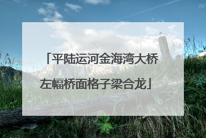 平陆运河金海湾大桥左幅桥面格子梁合龙