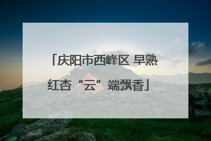 庆阳市西峰区 早熟红杏“云”端飘香