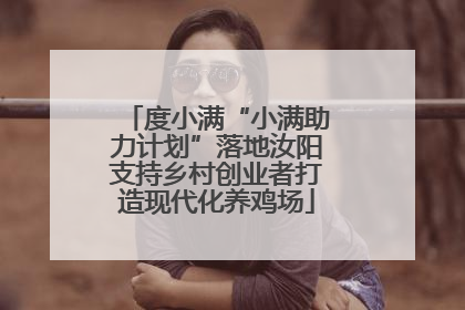 度小满“小满助力计划”落地汝阳支持乡村创业者打造现代化养鸡场