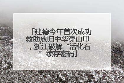 建德今年首次成功救助放归中华穿山甲，浙江破解“活化石”续存密码