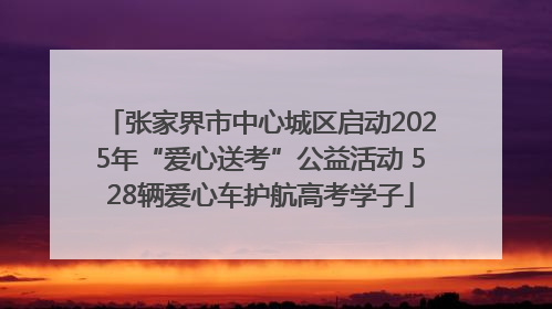 张家界市中心城区启动2025年“爱心送考”公益活动 528辆爱心车护航高考学子