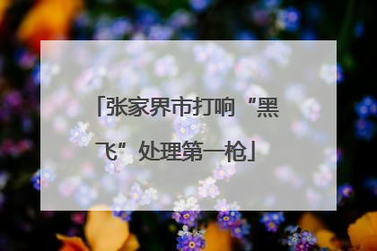 张家界市打响“黑飞”处理第一枪