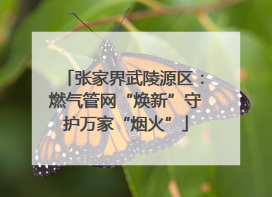 张家界武陵源区：燃气管网“焕新”守护万家“烟火”