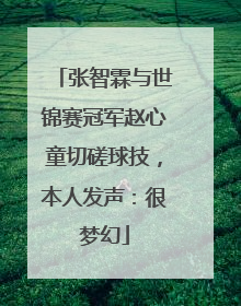 张智霖与世锦赛冠军赵心童切磋球技，本人发声：很梦幻