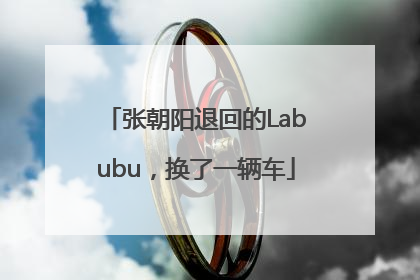 张朝阳退回的Labubu，换了一辆车