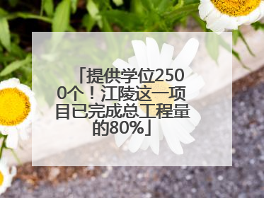 提供学位2500个！江陵这一项目已完成总工程量的80%