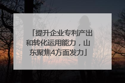 提升企业专利产出和转化运用能力，山东聚焦4方面发力
