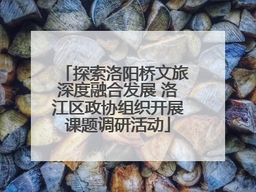 探索洛阳桥文旅深度融合发展 洛江区政协组织开展课题调研活动