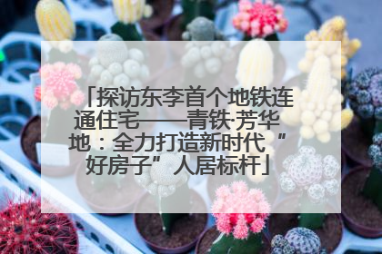 探访东李首个地铁连通住宅——青铁·芳华地：全力打造新时代“好房子”人居标杆
