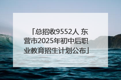 总招收9552人 东营市2025年初中后职业教育招生计划公布