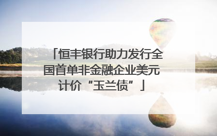 恒丰银行助力发行全国首单非金融企业美元计价“玉兰债”