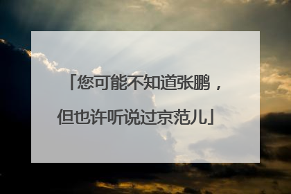 您可能不知道张鹏，但也许听说过京范儿