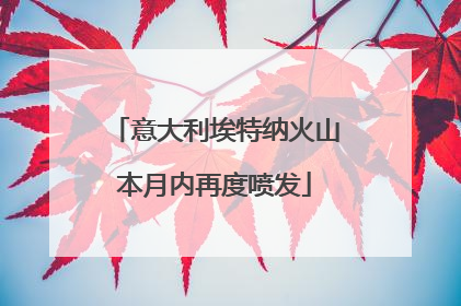 意大利埃特纳火山本月内再度喷发