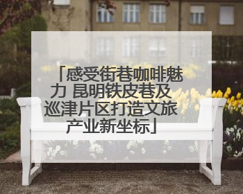 感受街巷咖啡魅力 昆明铁皮巷及巡津片区打造文旅产业新坐标