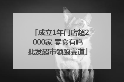成立1年门店超2000家 零食有鸣批发超市领跑赛道