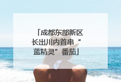 成都东部新区长出川内首串“蓝精灵”番茄