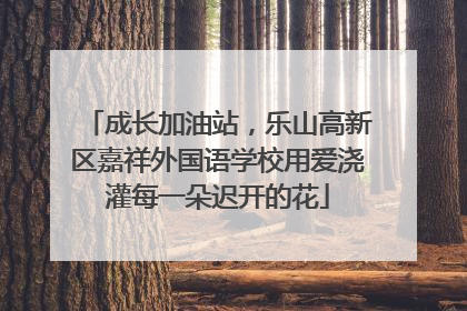 成长加油站，乐山高新区嘉祥外国语学校用爱浇灌每一朵迟开的花