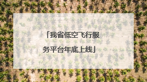 我省低空飞行服务平台年底上线