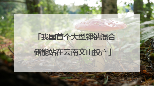 我国首个大型锂钠混合储能站在云南文山投产