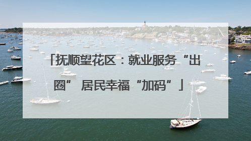 抚顺望花区：就业服务“出圈” 居民幸福“加码”