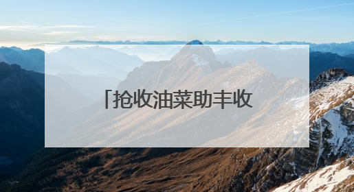 抢收油菜助丰收，武陵源一中数百名师生在黄龙洞生态田园上演“青春助农记”