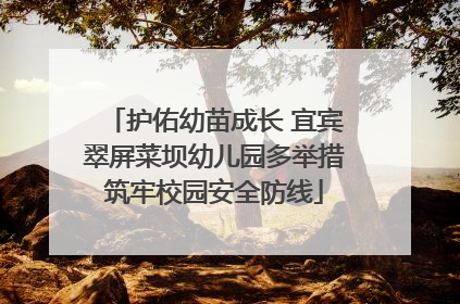 护佑幼苗成长 宜宾翠屏菜坝幼儿园多举措筑牢校园安全防线