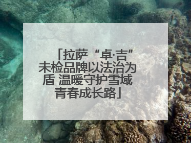 拉萨“卓·吉”未检品牌以法治为盾 温暖守护雪域青春成长路