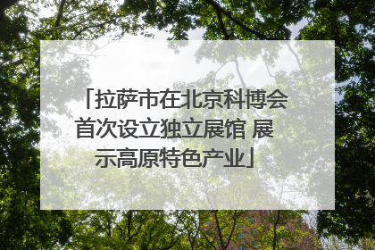 拉萨市在北京科博会首次设立独立展馆 展示高原特色产业